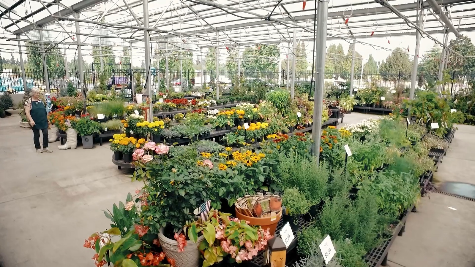 Plants and flowers at the Mt. Angel business featured in the Purina dealer story